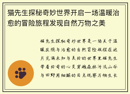 猫先生探秘奇妙世界开启一场温暖治愈的冒险旅程发现自然万物之美